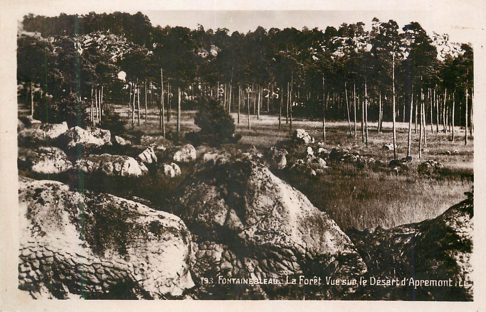 Fontainebleau — La Forêt Vue sur le Désert d'Apremont — 193